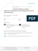 Habitat Fragmentation Disrupts A Plant-Disperser Mutualism in The Temperate Forest of South America. Rodriguez-Cabal Et Al. 2007