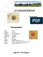 Tema 4. Amebas Intestinales