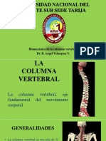 La Columna Vertebral