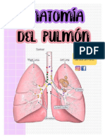 Anatomía Del Pulmón PDF