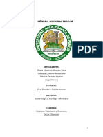 PRACTICA GRUPAL Mycobacterium