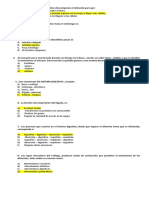 Sistema Digestivo 4° 18 de Agosto