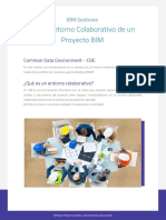 CDE - Apuntes BIM Expert Program