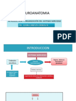 Cantos Histologia