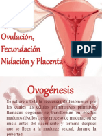 Ovulación, Fecundación, Nidacion y Placenta