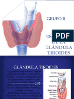 Fisiología de La Glándula Tiroides