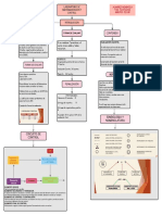 Organizador Grafico Introducción 1