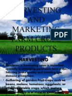 Harvesting AND Marketing Farm Crops Products