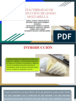 Prefactibilidad de Producción de Queso Mozzarella