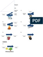 Energy Transfer and Sankey Diagram