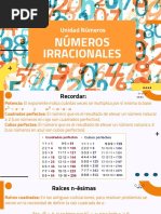 Raíces y Números Racionales-1