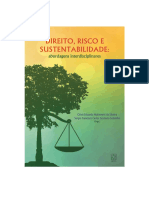 Ebook Direito Risco 2