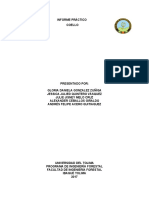 Informe Coello Geología