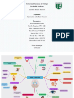 Mapa Mental - Pares Craneales