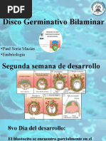 5 Disco Germinativo Bilaminar