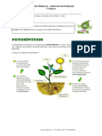 9 de Marzo Ciencias 7º