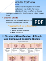 Membranes and Fasciae