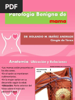 10.-Patologia Benigna de Mama