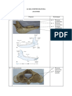 Sistem Rangka (Anatomi) - Dikonversi