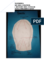 Album Anatomia