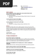 Stefano Brambilla CV ENGLISH