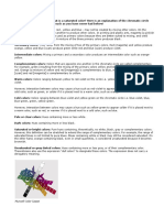 Color Theorypdf