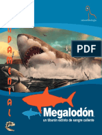 Megalodon