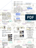 Triptico - Reaccion Quimica