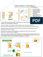 4-Dna Ii