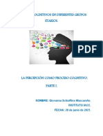 3 Semana Procesos Cognitivos en Diferentyes Grupos Etarios