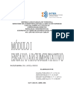 Ensayo Argumentativo - Mod1