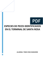 Informe de Especies Identificadas en El Terminal Santa Rosa .