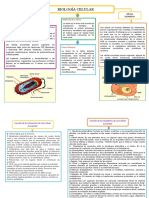 PA 2 Biología - Teoría Celular