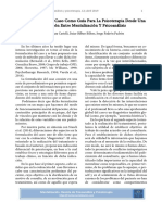 Guia Psicoterapia Mentalizacion y Psa