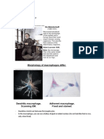 MIMM387 Lecture 5 Exercise 20: Macrophage Assays