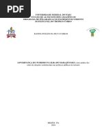 GOVERNANÇA DO TURISMO NA ILHA DO MARAJÓ-PARÁ: Uma Análise Das Redes de Relações Estabelecidas Nas Políticas Públicas de Turismo