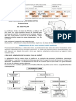 Agosto 25 - Naturales-Adaptaciones