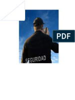 Seguridad Privada Peru Final 2016 PDF