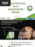 Buenas Prácticas en La Alimentación Animal - Javier Vargas