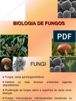 Características Morfológicas de Fungos 2015