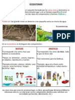 Repaso de Naturales 4 Basico