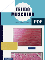 Tejido Muscular y Tejido Nervioso