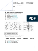 F I C H A #2-2021-Resuelto INGLES