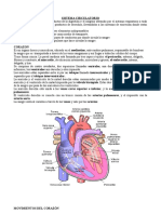 Sistema Circulatorio