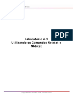 Laboratorio 4.3 - Utilizando Os Comandos Netstat e Nbtstat