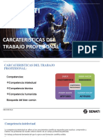 Caracteristicas Del Trabajo Profesional