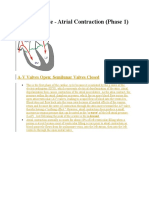 Cardiac Cycle - Atrial Contraction (Phase 1) : A-V Valves Open Semilunar Valves Closed