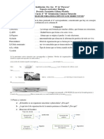 Actividades Guía Nº1 Niveles de Organización de Los Seres Vivvos