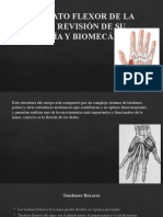 El Aparato Flexor de La Mano