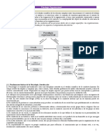 Resumen Finalm Psicología Organizacional